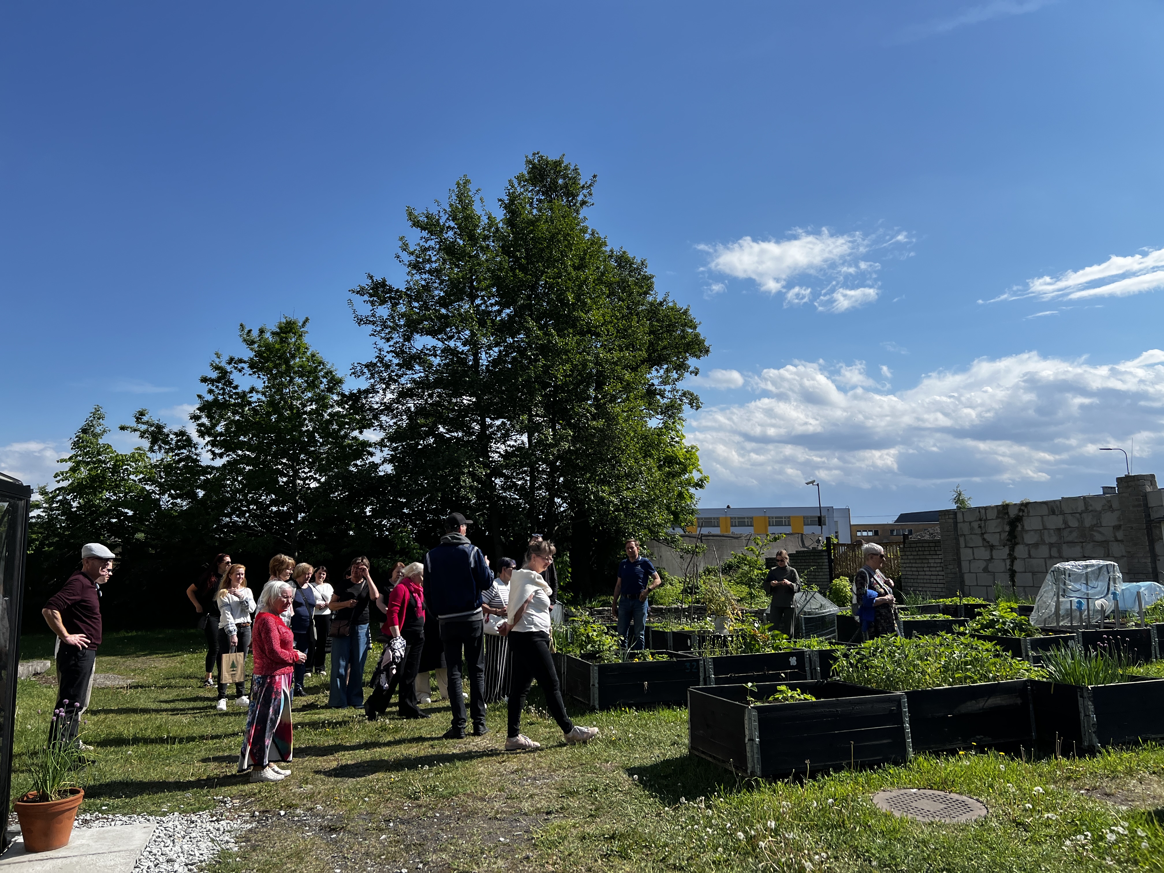 Kopli 93 kogukonnaaed