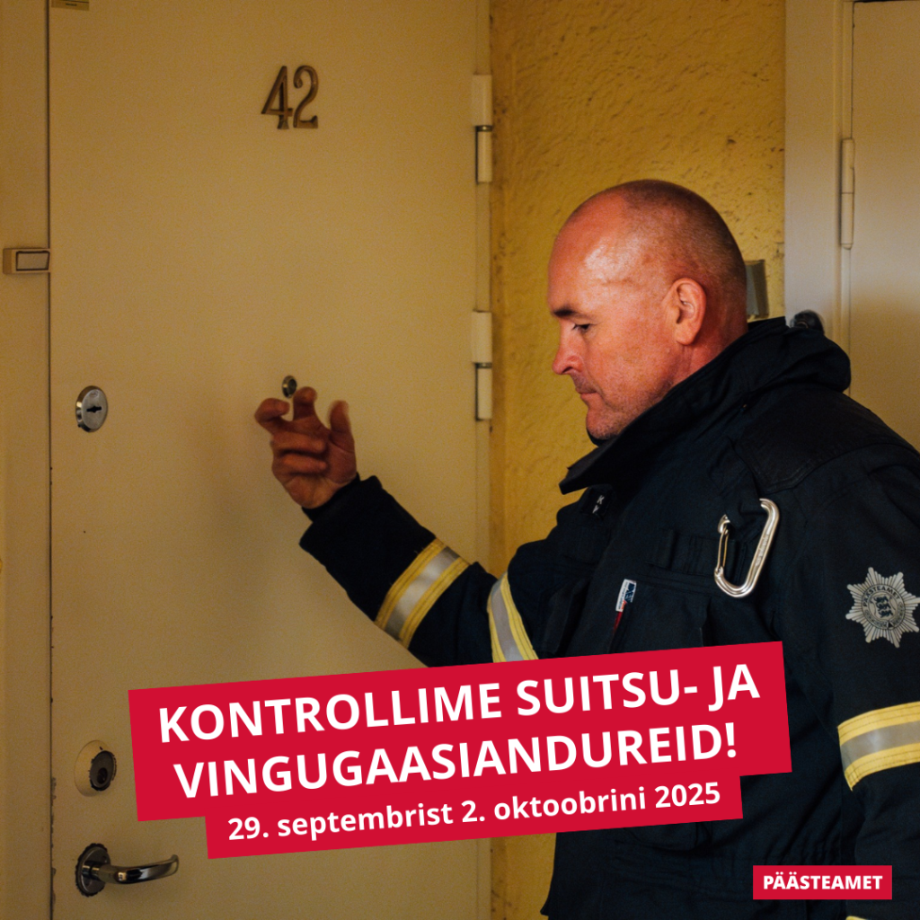Andur_2025_ruut_2.png